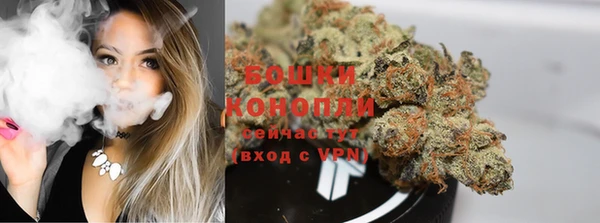 прущие крисы Верхний Тагил