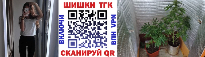 mega онион  купить наркотики цена  Новодвинск  МАРИХУАНА Amnesia 